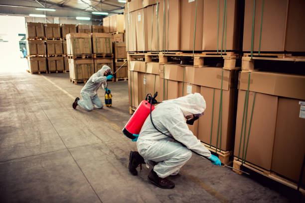 Best Best Pest Control Companies  in Sweetwater, FL