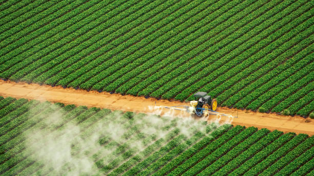 Trusted Sweetwater, FL Pest Control Experts