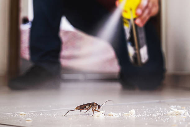 Best Pest Removal Services  in Sweetwater, FL